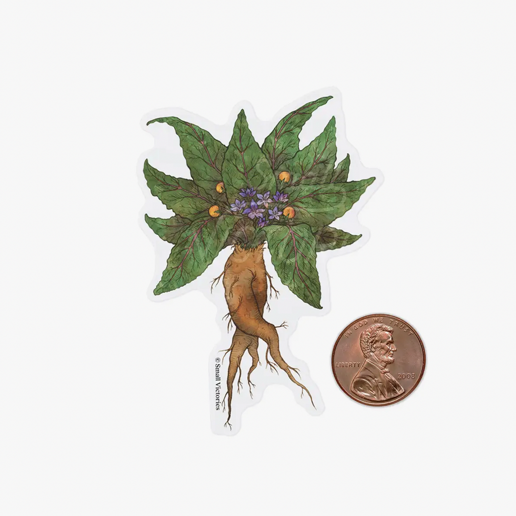 Eco-Sticker : Mandragore