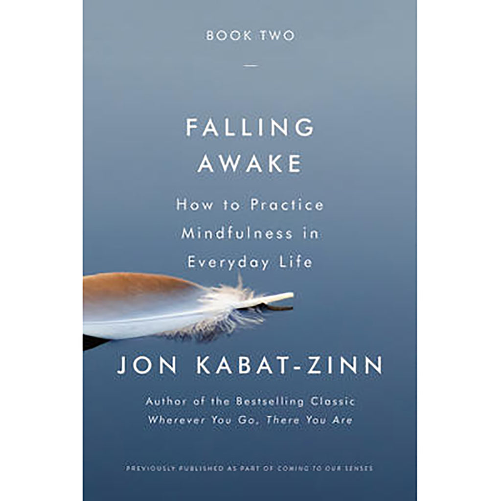 Falling Awake - Jon Kabat-Zinn