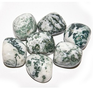 Agate Arbre Tumbled (1 pierre)