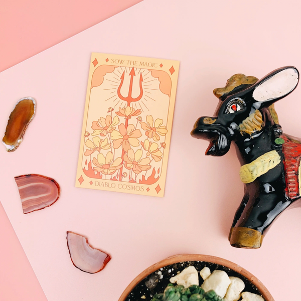 Diablo Cosmos Tarot Garden + Paquet de graines cadeau