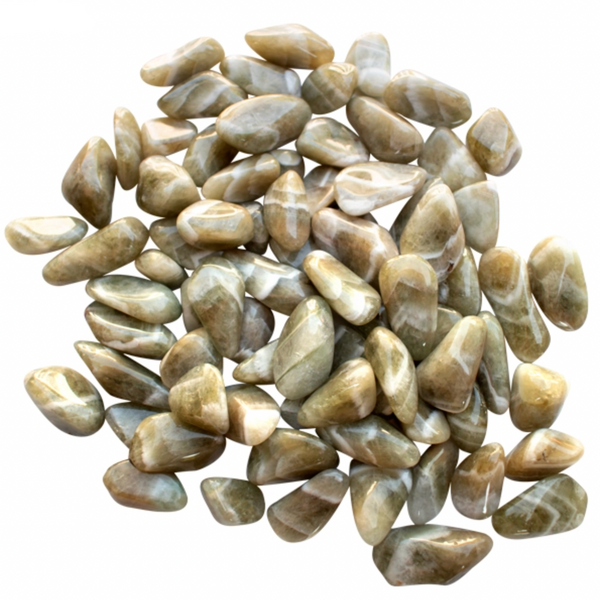 Chevron Prasiolite Tumbled (1 pierre)