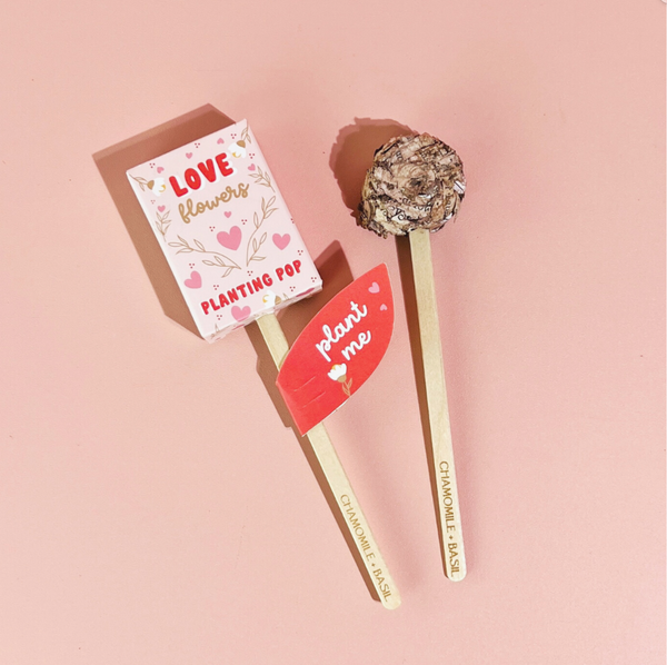 Jardin de fleurs d'amour + Pop de plantation de graines cadeau