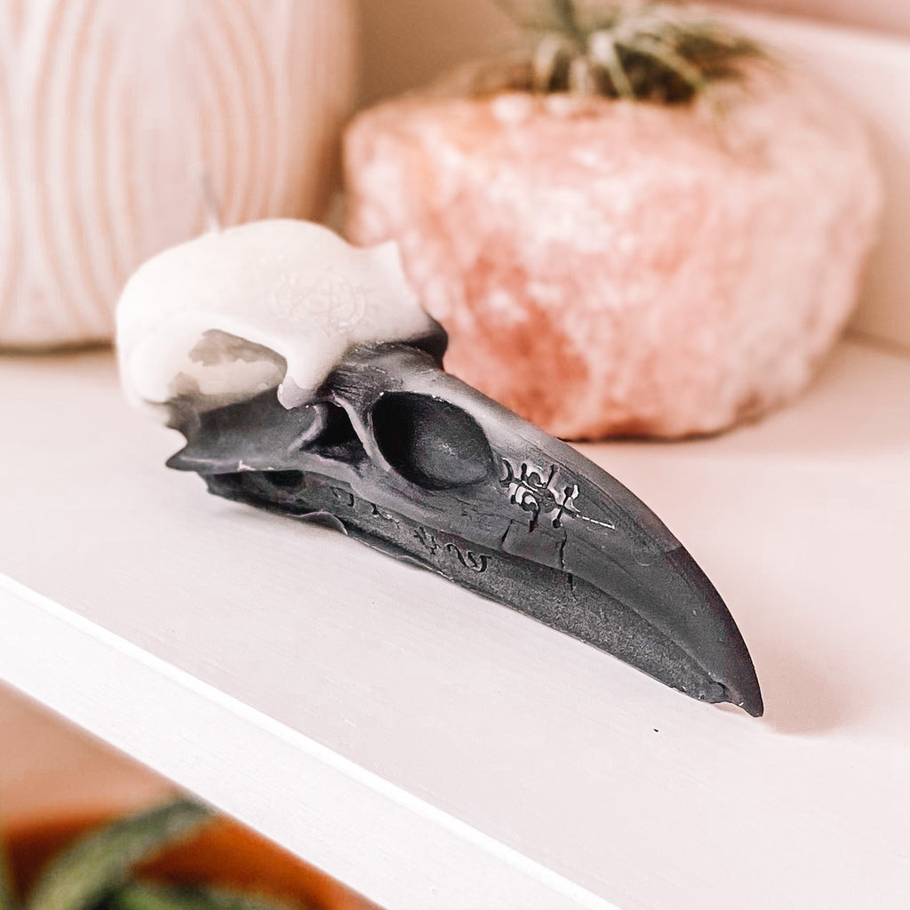 Bougie en cire d'abeille crâne de corbeau