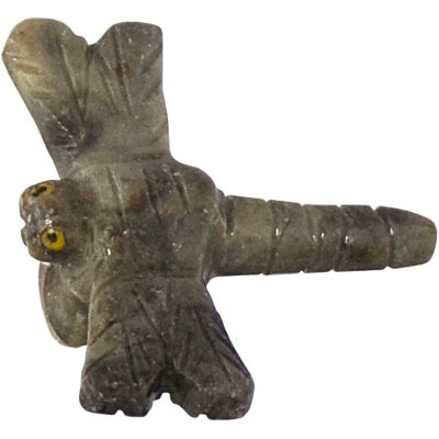 Dragon-mouche animal spirituel