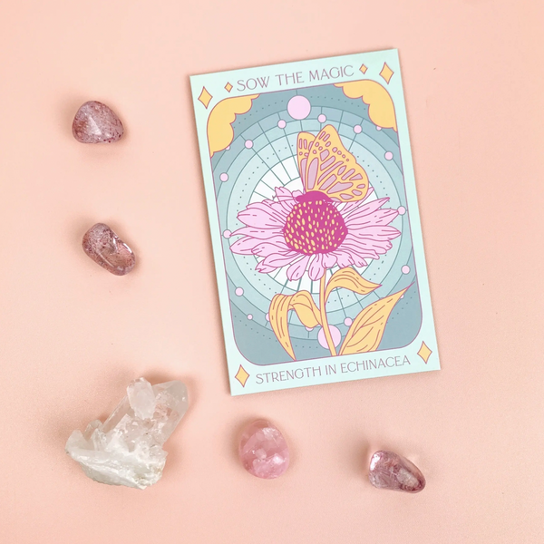 Force dans le jardin de tarot de fleur de cône d'échinacée + graine cadeau