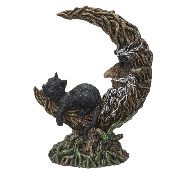 Chat noir sur la lune