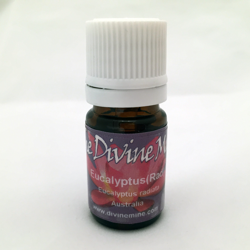 Huile d'Eucalyptus (Rad) 5ml
