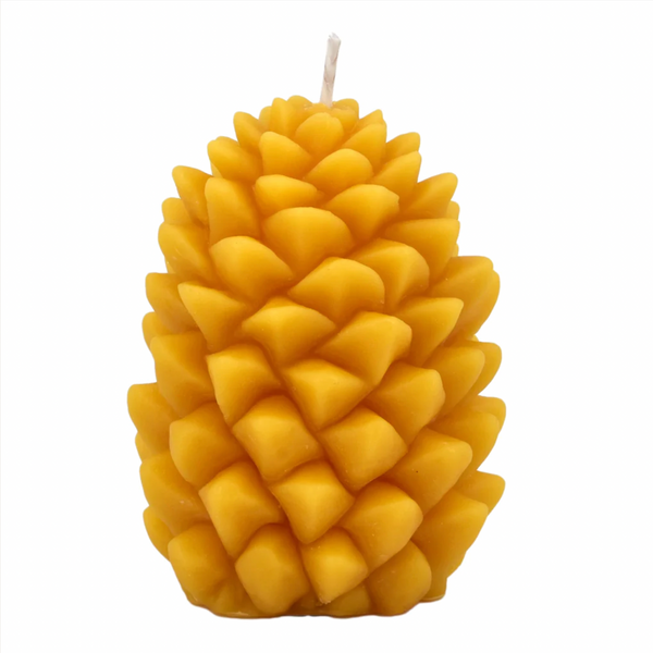 Bougie en cire d'abeille - pomme de pin ponderosa