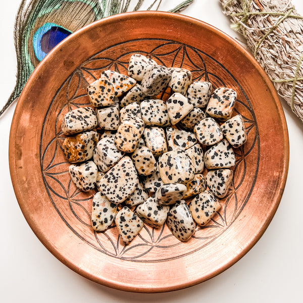 Pierre roulée Jaspe Dalmatien (1 pierre)