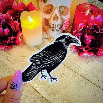 Handmade sticker - witchy raven