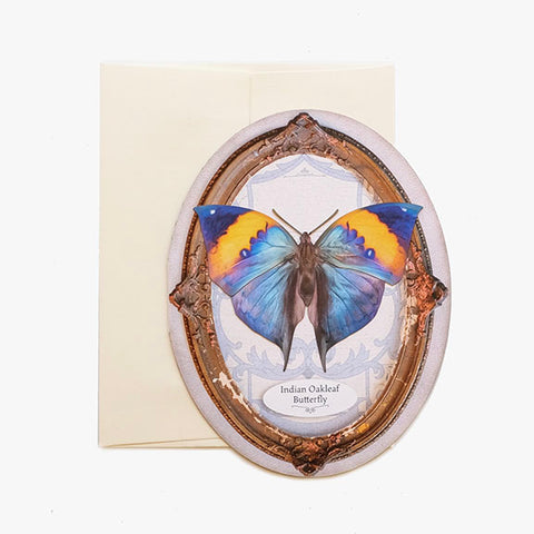 Greeting Card  'Pop-Out' Indian Oakleaf Butterfly Oval