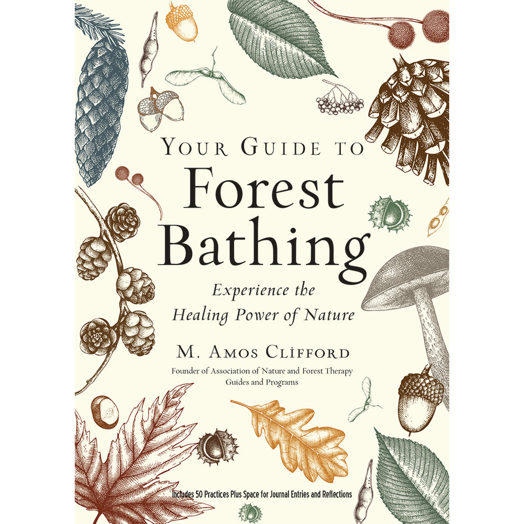 Your Guide to Forest Bathing (Expanded Edition) - M. Amos Clifford
