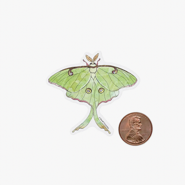 Eco-Sticker : Luna Moth