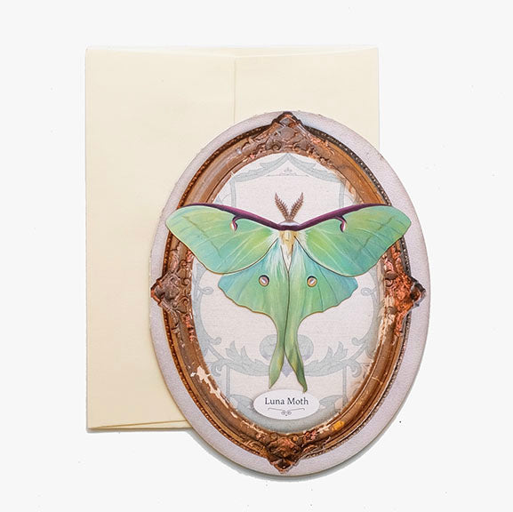 Greeting Card  'Pop-Out' Luna Moth Oval