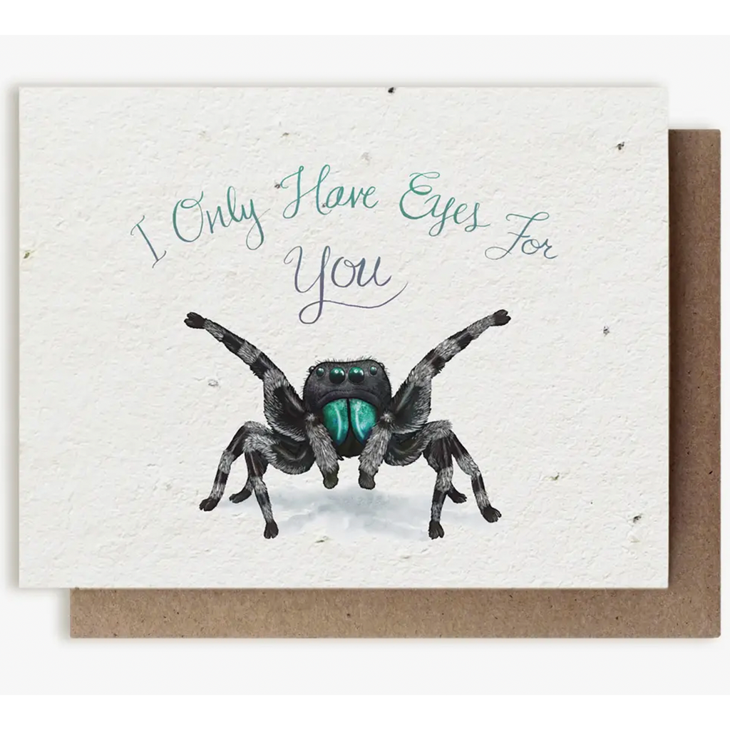 Plantable Herb Seed Greeting Card: I Only Have Eyes For You Spider