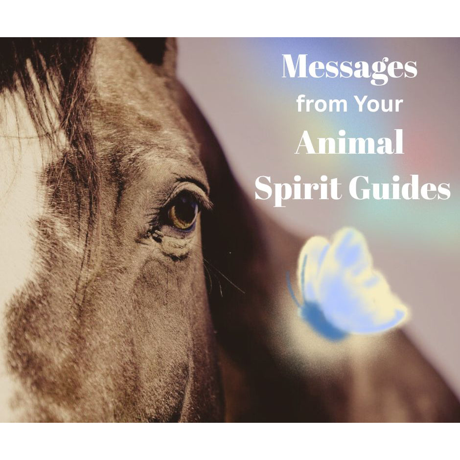 Messages from you Sprit Animal Meditation with Sanghavasini