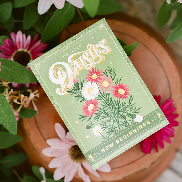 Floriography Seed Packet - Painted Daisies (New Beginnings)