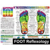 Chart Foot Reflexology