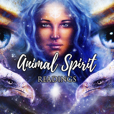 Intuitive Animal Spirit Card Reading 60 minute - Hannah Luft