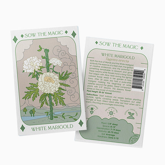 White Marigold Tarot Garden + Gift Seed Packet