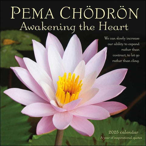 Wall Calendar 2025 Pema Chodron