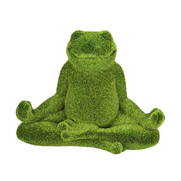 Yoga Frog