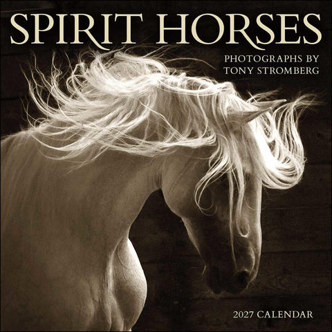 Wall Calendar 2027 Spirit Horses