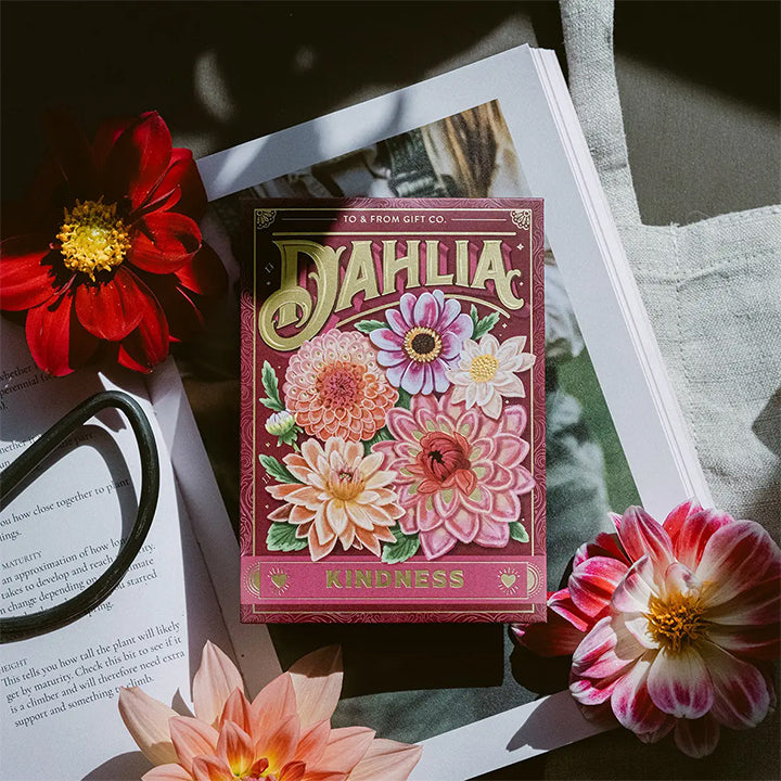 Floriography Seed Packet - Dahlia (Kindness)