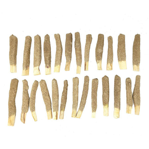 White Sage Dipped Palo Santo Stick (1 stick)