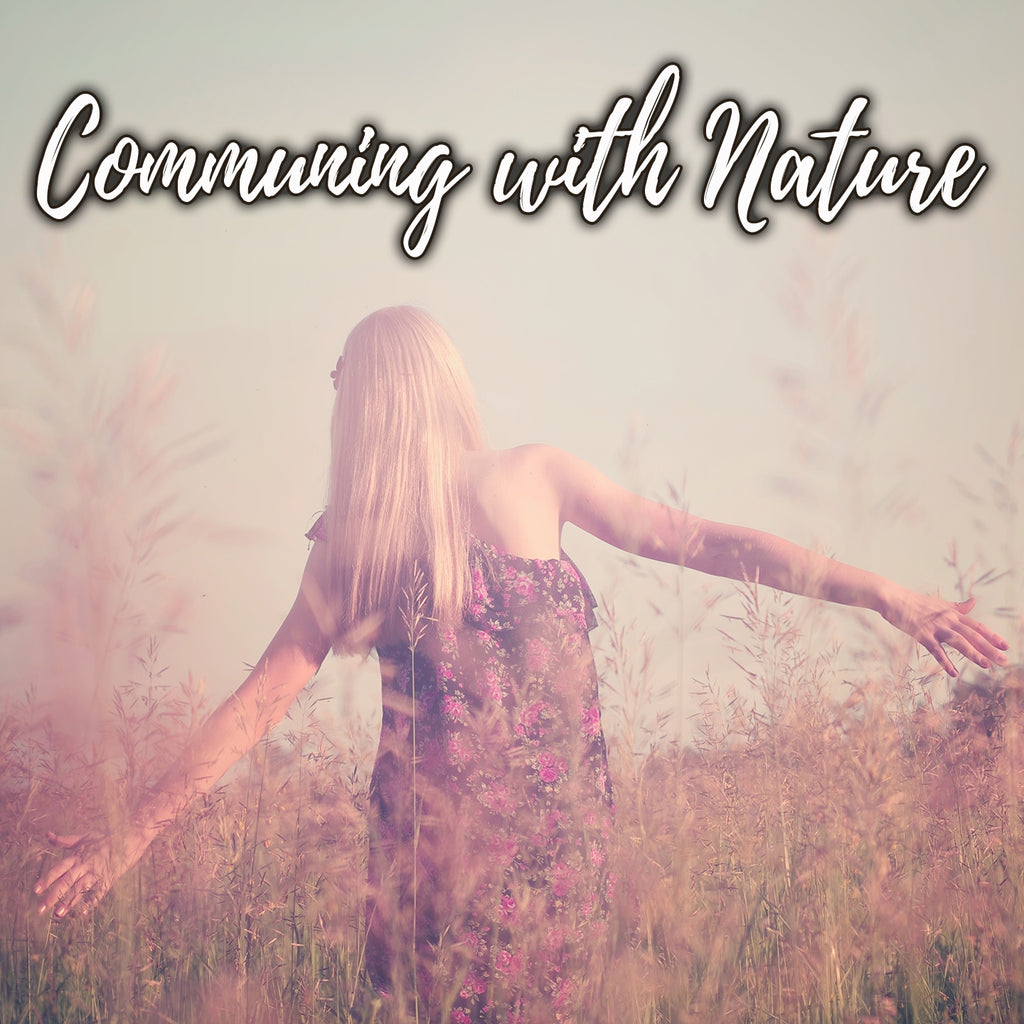 Communing with Nature workshop with Sanghavasini