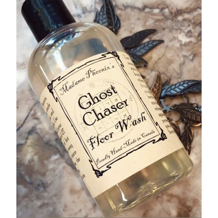 Floor Wash: Ghost Chaser