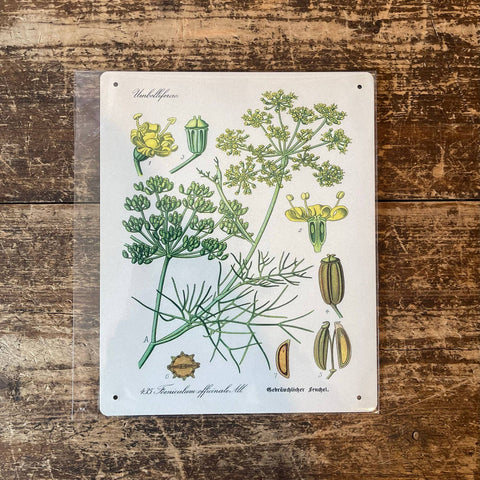 Metal Sign: Herbs - Dill
