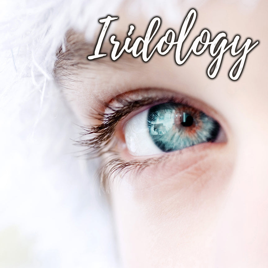 Iridology - 30 minute consultation - Hannah Luft