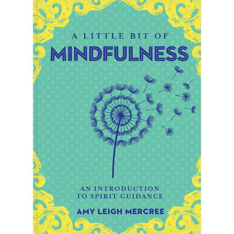 Little Bit of Mindfulness - Amy Leigh Mercree