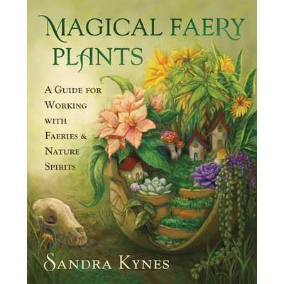 Magical Faery Plants - Sandra Kynes