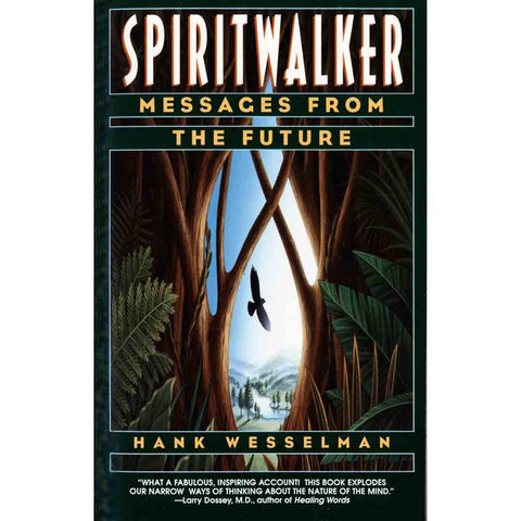 Spiritwalker - Hank Wesselman