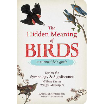 Hidden Meaning of Birds - Arin Murphy-Hiscock