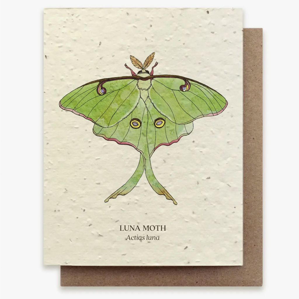 Plantable Wildflower Seed Greeting Card: Luna Moth