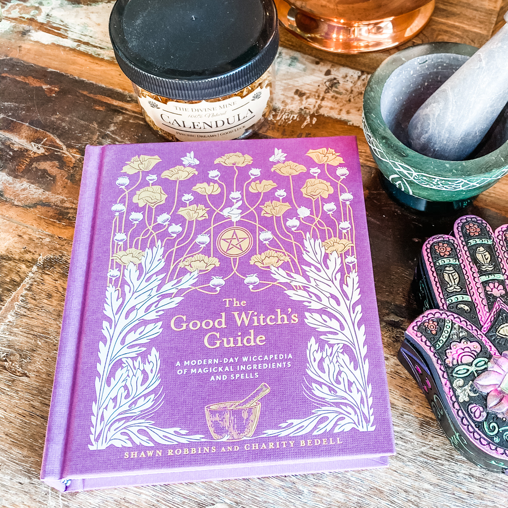 Good Witch’s Guide - Shawn Robbins & Charity Bedell