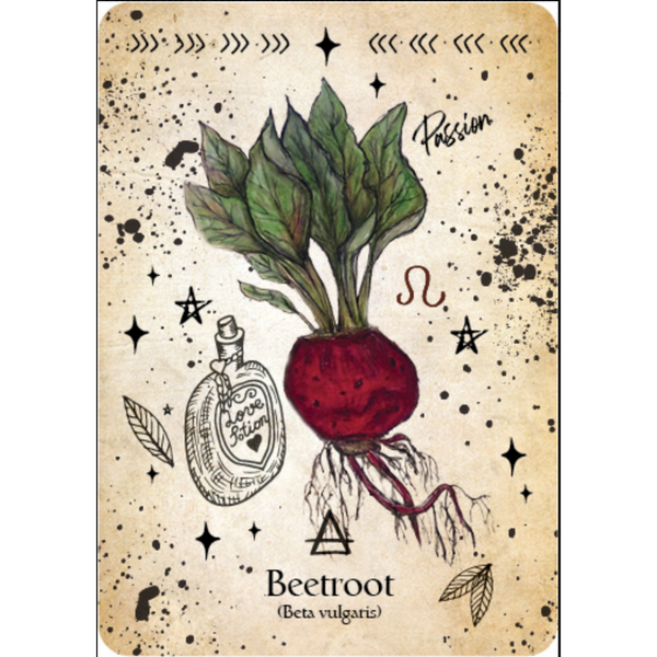 Green Witch Oracle Card - Cheralyn Darcey – The Divine Mine