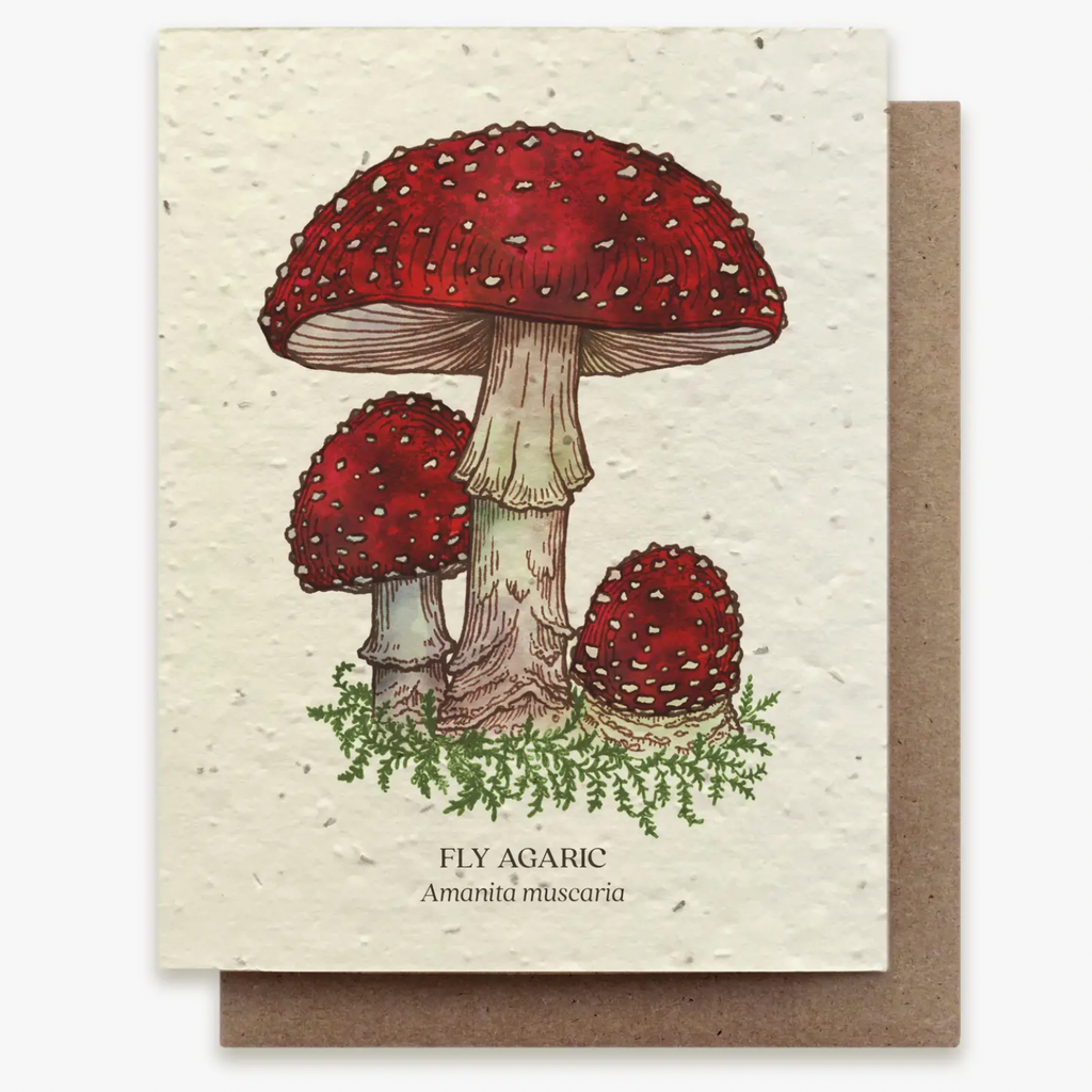 Plantable Wildflower Seed Greeting Card: Fly Agaric Mushroom