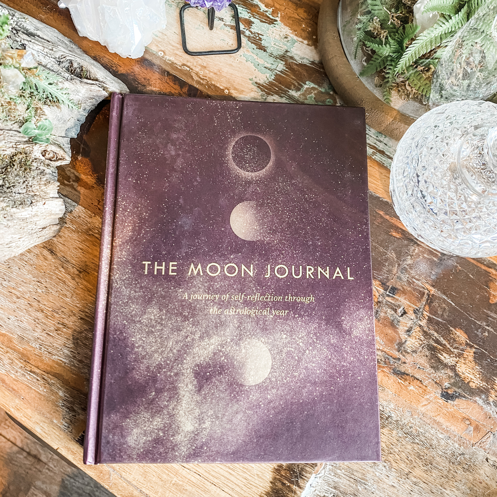 Moon Journal - Sandy Sitron
