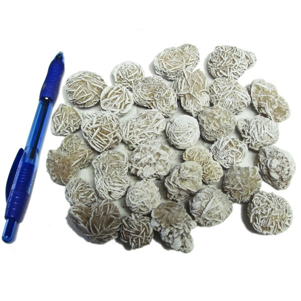 Desert Rose