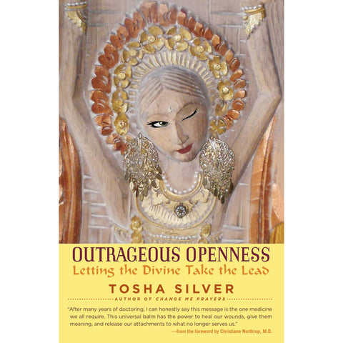 Outrageous Openness - Tosha Silver