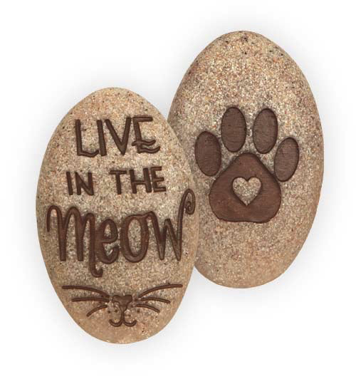 Pawsitive Stone - Live in the Meow