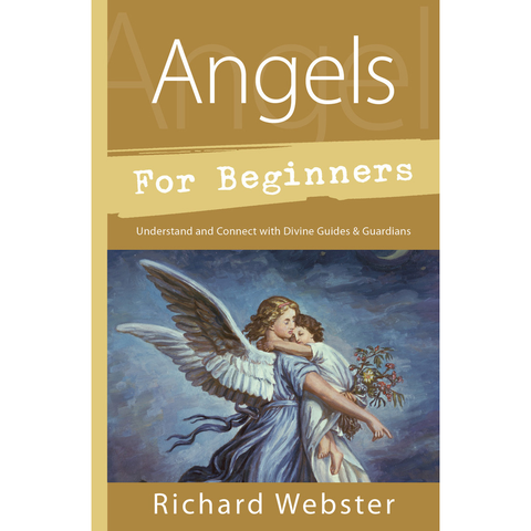 Anges pour débutants - Richard Webster