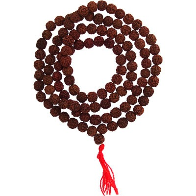 Graines de Mala Rudraksha (noix Tashbit) 108 Perle