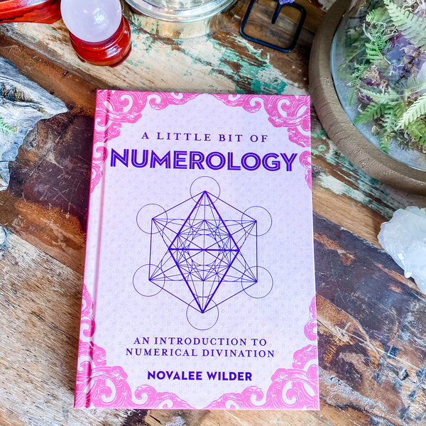 Little Bit of Numerology - Novalee Wilder