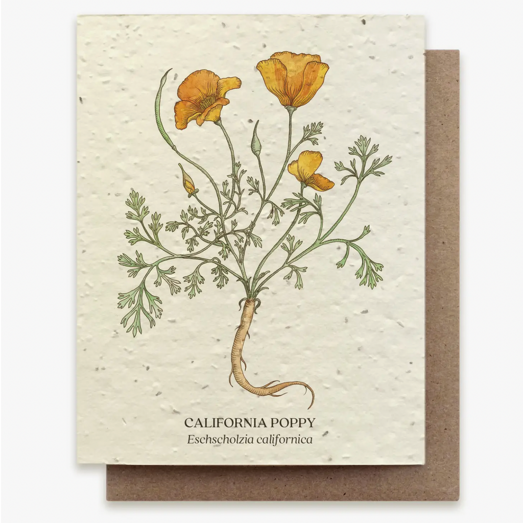 Plantable Wildflower Seed Greeting Card: California Poppy