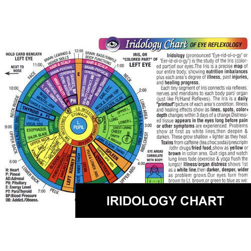 Chart Iridology - Small